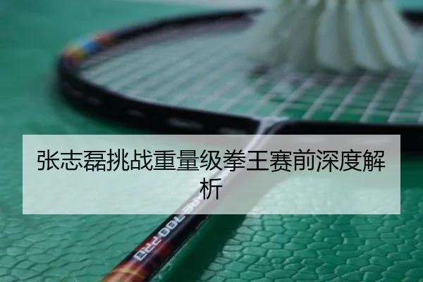 张志磊挑战重量级拳王赛前深度解析